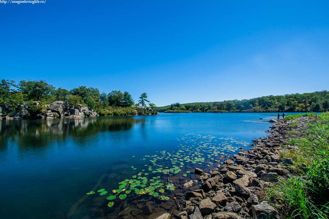 pine meadow lake